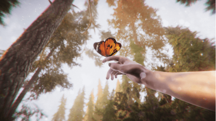 The Forest Cathedral — An Ecological Ethical Dilemma: Recreating Silent Spring in a First-Person Journey